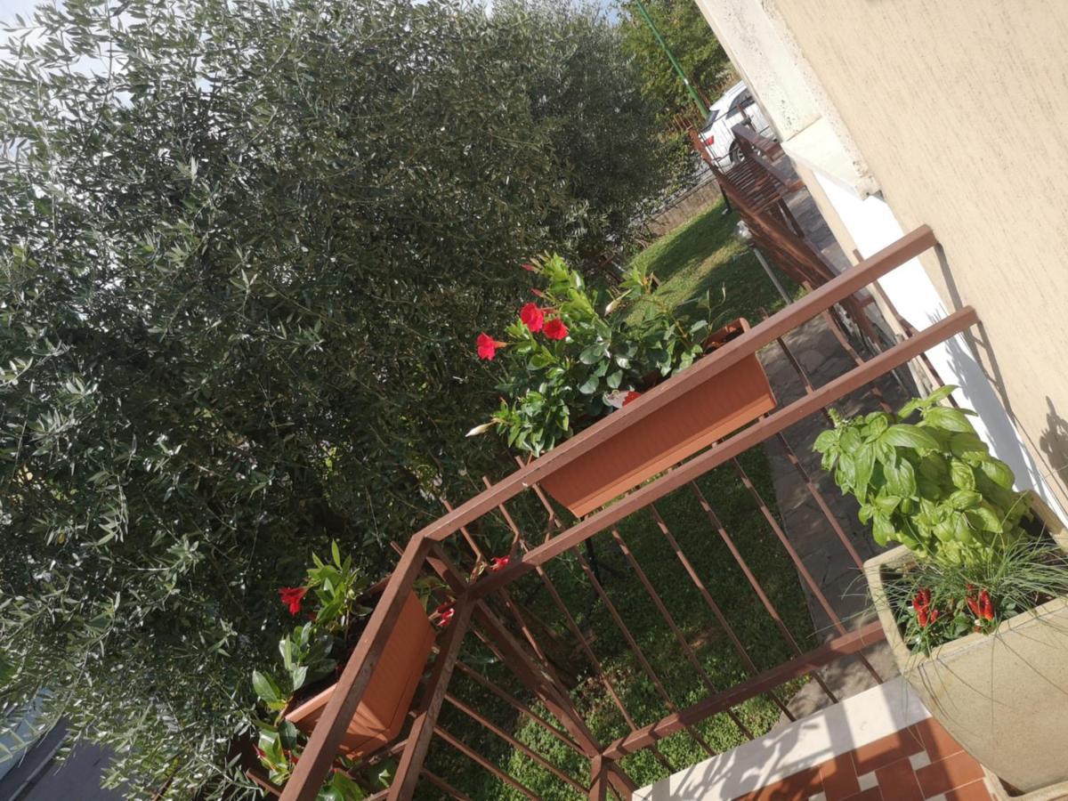 דירות פסקיארה דל גארדה Ai Quattro Ulivi מראה חיצוני תמונה